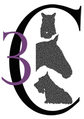 Logo de la société Les 3C